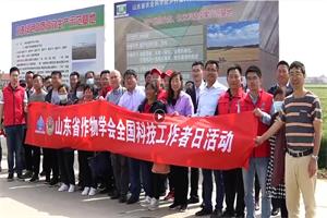 ��ԶС����Ʒ�ָ߲���Ч����������Ħ��